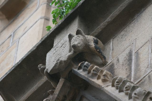 Wild Boy trail Saint-Sernin